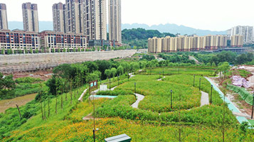 重慶北碚區(qū)梁灘河內(nèi)源整治及清淤工程